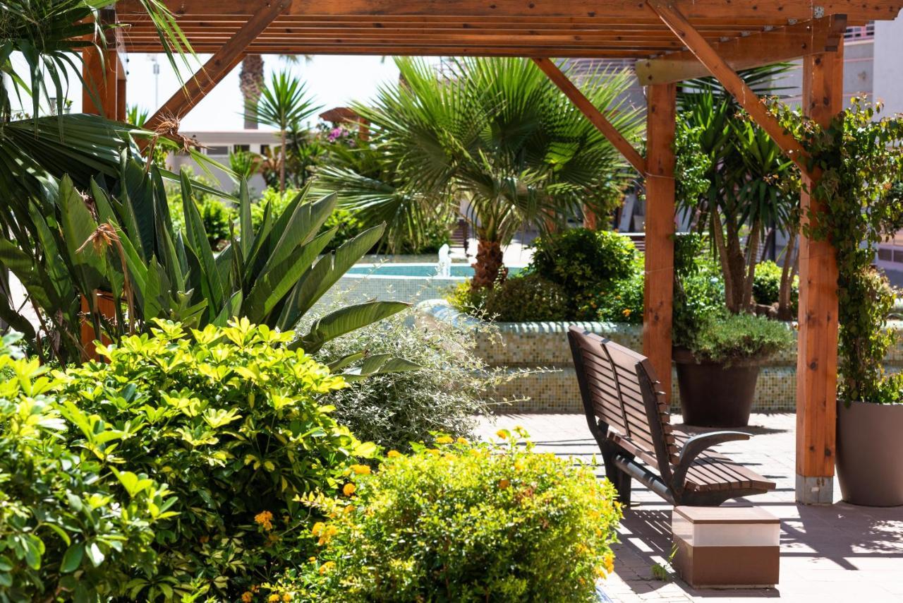 קלפה Apartamentos Nuevo Mexico C 372 מראה חיצוני תמונה